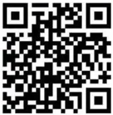 中辉格双电器商城